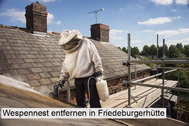 Wespennest entfernen in Friedeburgerhütte